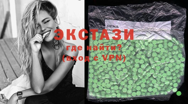 индика Новозыбков