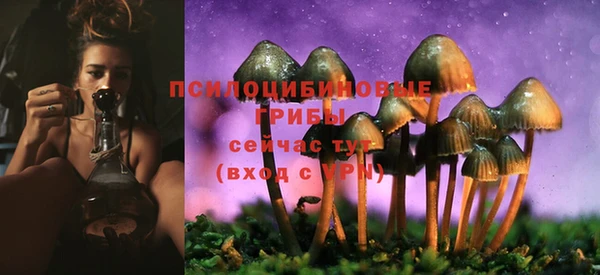 мескалин Алексеевка